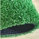 Искусственная декоративная трава Grass DES 12мм - изображение 4
