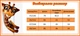 Куртка демисезонная для девочки Одягайко (22606чер) Рост 152 см Черный - изображение 5