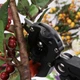 Профессиональный прививочный секатор Tool 3108 с 3 ножами для обрезки и прививки деревьев в чёрном кейсе - изображение 5