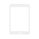 Защитное стекло Ceramic iPad Mini 4/5 White - изображение 1