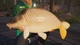 Ключ активации Fishing Sim World®: Pro Tour - Collector's Edition для Xbox One/Serie - изображение 4