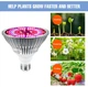 Фітолампа повного спектру E27 150W Sunlike - изображение 4