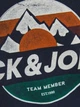 Футболка для хлопця Jack & Jones 12189188 темно-синя з горами (152 см) - изображение 3