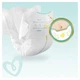 Підгузник Pampers Premium Care Mini Розмір 2 (4-8 кг), 148 шт (4015400770275) - зображення 6
