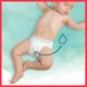 Подгузник Pampers трусики Harmonie Nappy Pants Размер 4 (9-14 кг) 24 шт (8006540181409) - изображение 6