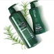 Охлаждающий шампунь на основе чайного дерева Naturalon Tea Tree Cool Shampoo Daeng Gi Meo Ri 280 мл 8807779088527 - изображение 2