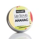 Скраб для губ Hillary Ананас Lip Scrub Pineapple 30 г 4820209070088 - зображення 1