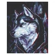 Картина за номерами "Друг Хаскі" Art Craft 40х50 см (11674-AC00001111) - зображення 2