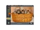 Пазл "Funny kittens" Danko Toys, 500 эл. (C500-14-0900001111) - изображение 3