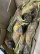 Ласощі для собак Canikul Нога яловича 1 шт - зображення 8
