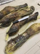 Ласощі для собак Canikul Нога яловича 1 шт - зображення 3