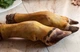 Ласощі для собак Canikul Нога яловича 1 шт - зображення 4