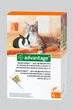 Капли Bayer Advantage (Адвантейж) от блох 40 для котов весом до 4 кг и хорьков 1 пипетка 0.4 мл - изображение 1