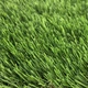 Штучна трава для інтер'єру ecoGrass U-40 2м. - зображення 4