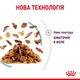 Упаковка вологого корму для котів Royal Canin Sensory Gravy 9+3 шт х 85 г - изображение 3
