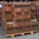 Кирпич Прокерам Флеш Графит М150, 250х120х65 мм - изображение 2
