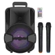 Автономная акустическая система 100BLUE SKY USB/MP3/FM/BT/TWS + 2pcs VHF mic - изображение 1