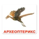 Набор больших карточек Домана Динозавры на украинском 20 шт Вундеркинд с Пеленок (2100060194218) - изображение 1