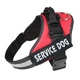 Шлея для собак усиленая Pet Style "Service Dog" Красная S - изображение 1