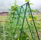 Сетка для растений, огуречная, ПВХ 1,8*1,8 м 90-8727233 - изображение 5