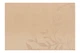 Коврик сервировочный ARDESTO 30×45 см, Beige AR3305BG - изображение 1