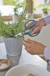 Ножницы для трав и цветов Gardena HerbCut с кобурой (12214-36) - изображение 2