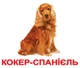 Комплект карток Породи собак з фактами - изображение 2