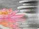 Сидіння для унітазу Wenko Water Lily, 36,5 х 45 см, термопласт - зображення 5