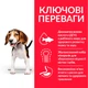 Cухий корм для цуценят Hill’s Science Plan Medium Breed Puppy 2,5 кг - ягня та рис - изображение 3
