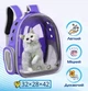 Прозрачный рюкзак для переноски животных Pet Cat для кошек и собак Purple - изображение 2