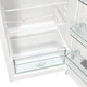 Холодильник GORENJE RB615FEW5 - изображение 8