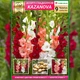 Преміум гладіолуси Kazanova (брендова упаковка) Florium (205222) - зображення 3