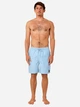 Шорты пляжные мужские Rip Curl Easy Living Volley 04EMBO-3400 L Голубые (9359082291211) - изображение 3