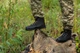 Черевики Maxsteel Lightweight Black чорні з металевим носком 41 - зображення 3