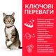 Сухой корм Hills для кошек с курицей SP Feline Adult Oral Care 7 кг - изображение 2