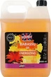 Шампунь для окрашенных волос с маслом бабассу - Ronney Professional Babassu Oil Energizing Shampoo 1000ml (713001-144068) - изображение 3