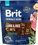 Сухой корм для собак с чувствительным пищеварением с ягненком и рисом Brit Premium Sensitive Lamb & Rice 1 кг - изображение 1