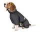 Комбинезон для собак Pet Fashion "COLD" 2XL - изображение 1