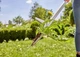Інструмент Gardena для видалення бур'янів (03518-20.000.00) - зображення 12