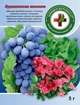 Стимулятор роста Киссон Янтарная кислота 5 г 7 шт. (3000047 -С) - изображение 2