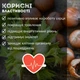 Горіхи фундук смажений (бланшований) 1 кг натуральні Hazelnut N (Haz-B-Rus-r-1000) - зображення 5