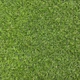 Штучна трава для вулиці ecoGrass 17 2м. - зображення 2