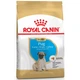 Сухий Корм Royal Canin PUG PUPPY 0,5 кг (3182550813075) (41300051) - изображение 1