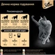 Sheba Консервований Корм Для Котів Шеба З Океанічною Рибою У Соусі 85 Г Упаковка 24 Шт (4770608258825) (258825) - изображение 7