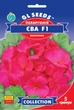 Пеларгонія Єва Малинова F1 насіння (5 шт) герань калачики, Collection, TM GL Seeds - зображення 1