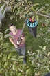 Плодосъемник Gardena Combisystem FruitPicker (03115-20.000.00) - изображение 9