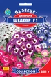 Цинерарія Шедевр F1 суміш насіння (0,01 г), Collection, TM GL Seeds - зображення 1