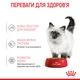 Консерви для кошенят до 12 місяців Royal Canin Kitten шматочки в соусі, 85 г - зображення 5