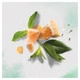 Шампунь Herbal Essences Білий грейпфрут та м'ята 400 мл (8006540318492) - зображення 4