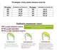 Текстильные кросовки для девочек Крок 305-80/31 Мятный 31 - изображение 3
